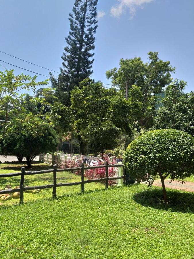 Hotel Tk Green Garden Matara Bagian luar foto